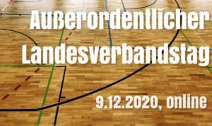 Read more about the article Außerordentlicher Landesverbandstag am 9.12.2020